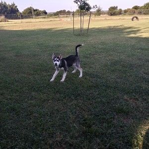 Meet your Posher, Rita